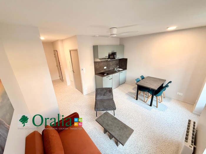 Image 6 sur 10 - Appartement  ·  Location · Tarare (69170) · 1 pièce · 26m²