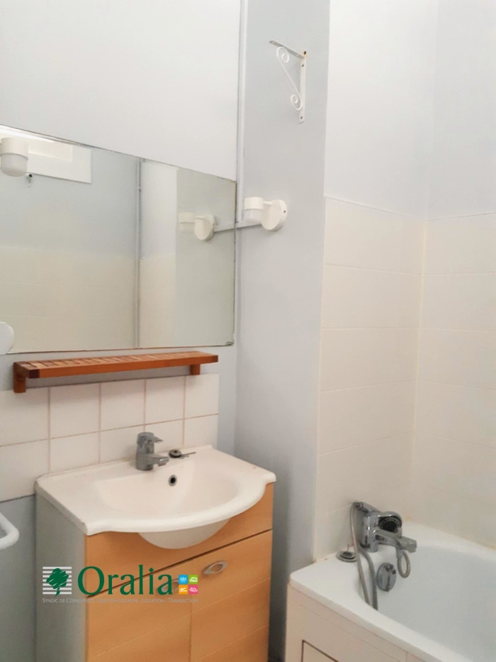 Image 9 sur 9 - Appartement  ·  Location · Grenoble (38000) · 3 pièces · 106m²