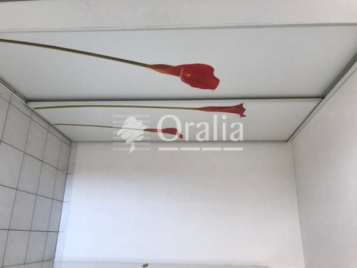Image 3 sur 12 - Appartement  ·  Location · Montpellier (34080) · 2 pièces · 48m²