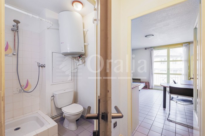 Image 5 sur 13 - Appartement  ·  Vente · Grenoble (38000) · 1 pièce · 21m²
