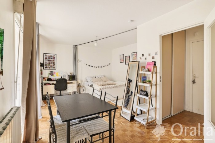 Image 3 sur 10 - Appartement  ·  Vente · Lyon (69008) · 1 pièce · 32m²