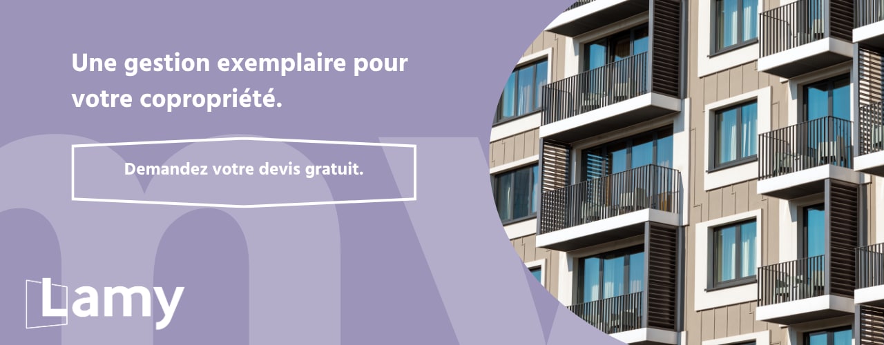 Bannière Syndic 1.png