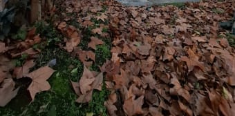 Image 1 - Maison/villa · Toulouse (31400) · 82m²