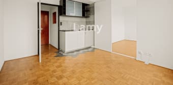 Image 1 - Appartement · Villeurbanne (69100) · 1 pièce · 33m²