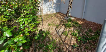 Image 1 - Appartement · Perigueux (24000) · 4 pièces · 102m²