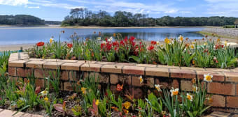 Image 2 - Appartement · Soustons (40140) · 2 pièces · 28m²