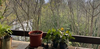 Image 3 - Appartement · Toulouse (31400) · 1 pièce · 32m²