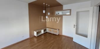 Image 1 - Appartement · Haguenau (67500) · 2 pièces · 49m²
