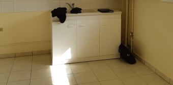 Image 2 - Maison/villa · Sens (89100) · 5 pièces · 110m²