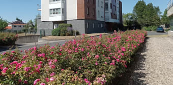 Image 1 - Appartement · Cambrai (59400) · 1 pièce · 30m²