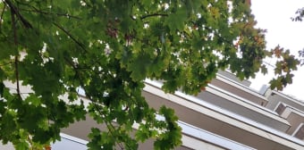 Image 1 - Appartement · Paris (75017) · 2 pièces · 48m²