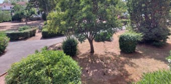 Image 1 - Appartement · Frejus (83600) · 2 pièces · 42m²