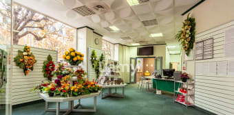 Image 2 - Local · Strasbourg (67000)