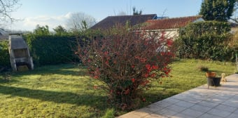 Image 3 - Maison/villa · Anglet (64600) · 4 pièces · 95m²