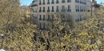 Appartement · Marseille (13001) · 2 pièces · 31m²