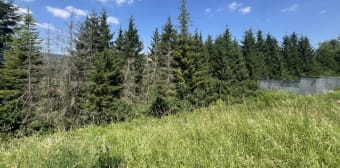 Image 1 - Terrain · Niederbronn Les Bains (67110)