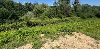 Image 2 - Terrain · Niederbronn Les Bains (67110) · 516m²