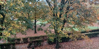 Image 3 - Appartement · Athis Mons (91200) · 3 pièces · 56m²