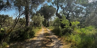 Image 2 - Terrain · Eyguieres (13430) · 60000m²