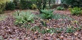 Image 2 - Maison/villa · Avesnes Sur Helpe (59440) · 11 pièces · 350m²