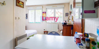 Appartement · Lingolsheim (67380) · 1 pièce · 20m²