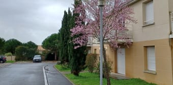 Appartement · L Houmeau (17137) · 3 pièces · 65m²