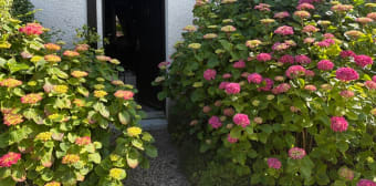 Image 1 - Maison/villa · Cabourg (14390) · 3 pièces · 30m²