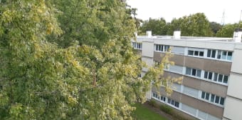 Image 1 - Appartement · Palaiseau (91120) · 2 pièces · 50m²