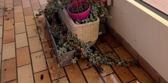 Image 3 - Appartement · Pau (64000) · 4 pièces · 83m²