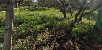 Image 3 - Terrain · Eyguieres (13430) · 60000m²