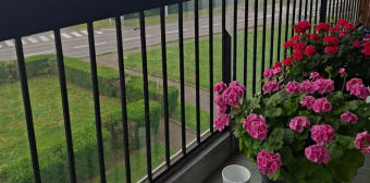Image 2 - Appartement · Elancourt (78990) · 3 pièces · 65m²