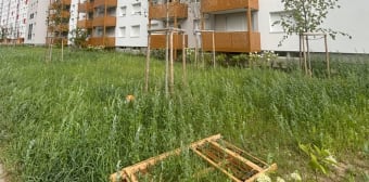 Image 2 - Appartement · Strasbourg (67100) · 4 pièces · 70m²