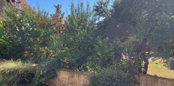 Image 2 - Appartement · Colmar (68000) · 1 pièce · 36m²