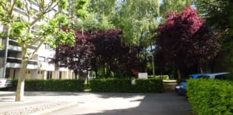 Appartement · Besancon (25000) · 1 pièce · 26m²