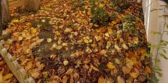 Image 3 - Maison/villa · Enghien Les Bains (95880) · 3 pièces · 52m²