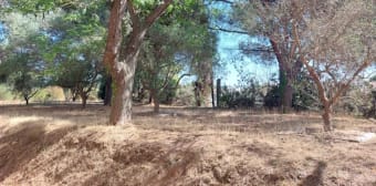 Image 1 - Appartement · Frejus (83600) · 3 pièces · 58m²