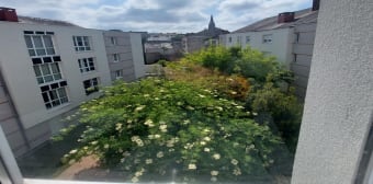 Appartement · Nantes (44000) · 17m²
