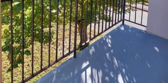 Image 1 - Appartement · Plaisir (78370) · 3 pièces · 58m²