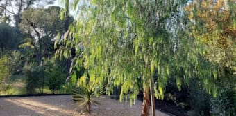 Image 1 - Appartement · St Raphael (83700) · 2 pièces · 58m²