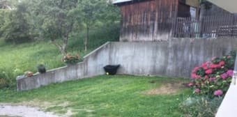 Image 2 - Appartement · Les Avanchers Valmorel (73260) · 3 pièces · 57m²