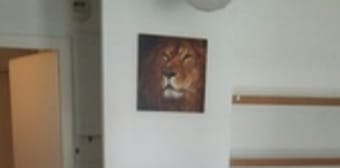 Image 2 - Appartement · Mulhouse (68200) · 1 pièce · 22m²