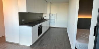 Image 2 - Appartement · Lille (59777) · 1 pièce · 38m²