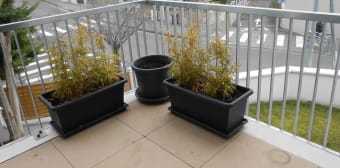 Image 2 - Appartement · Clermont Ferrand (63100) · 2 pièces · 42m²