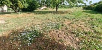 Image 3 - Maison/villa · Libourne (33500) · 3 pièces · 172m²