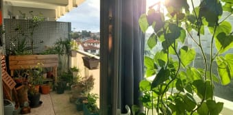 Image 1 - Appartement · Bayonne (64100) · 2 pièces · 44m²
