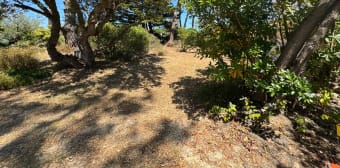 Image 3 - Terrain · Vieux Boucau Les Bains (40480) · 294m²
