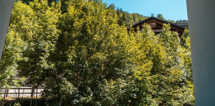 Image 9 sur 9 - Appartement  ·  Vente · Brides Les Bains (73570) · 2 pièces · 52m²