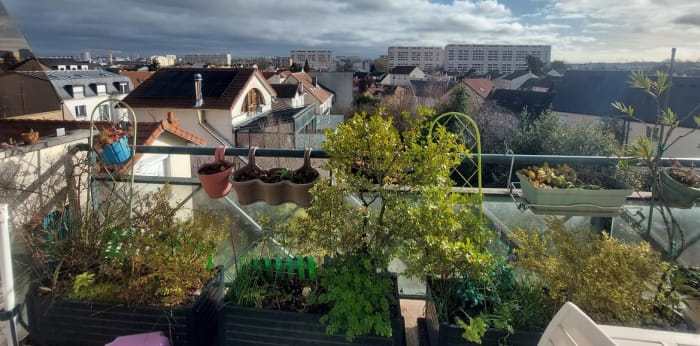 Image 2 sur 9 - Appartement  ·  Vente · Antony (92160) · 3 pièces · 86m²