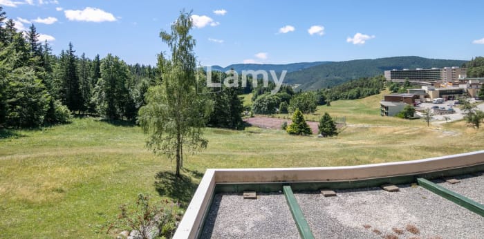 Image 9 sur 10 - Appartement  ·  Vente · Villard De Lans (38250) · 3 pièces · 55m²