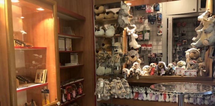 Image 3 sur 13 - Boutique  ·  Vente · Allos (04260) · 3 pièces · 96m²